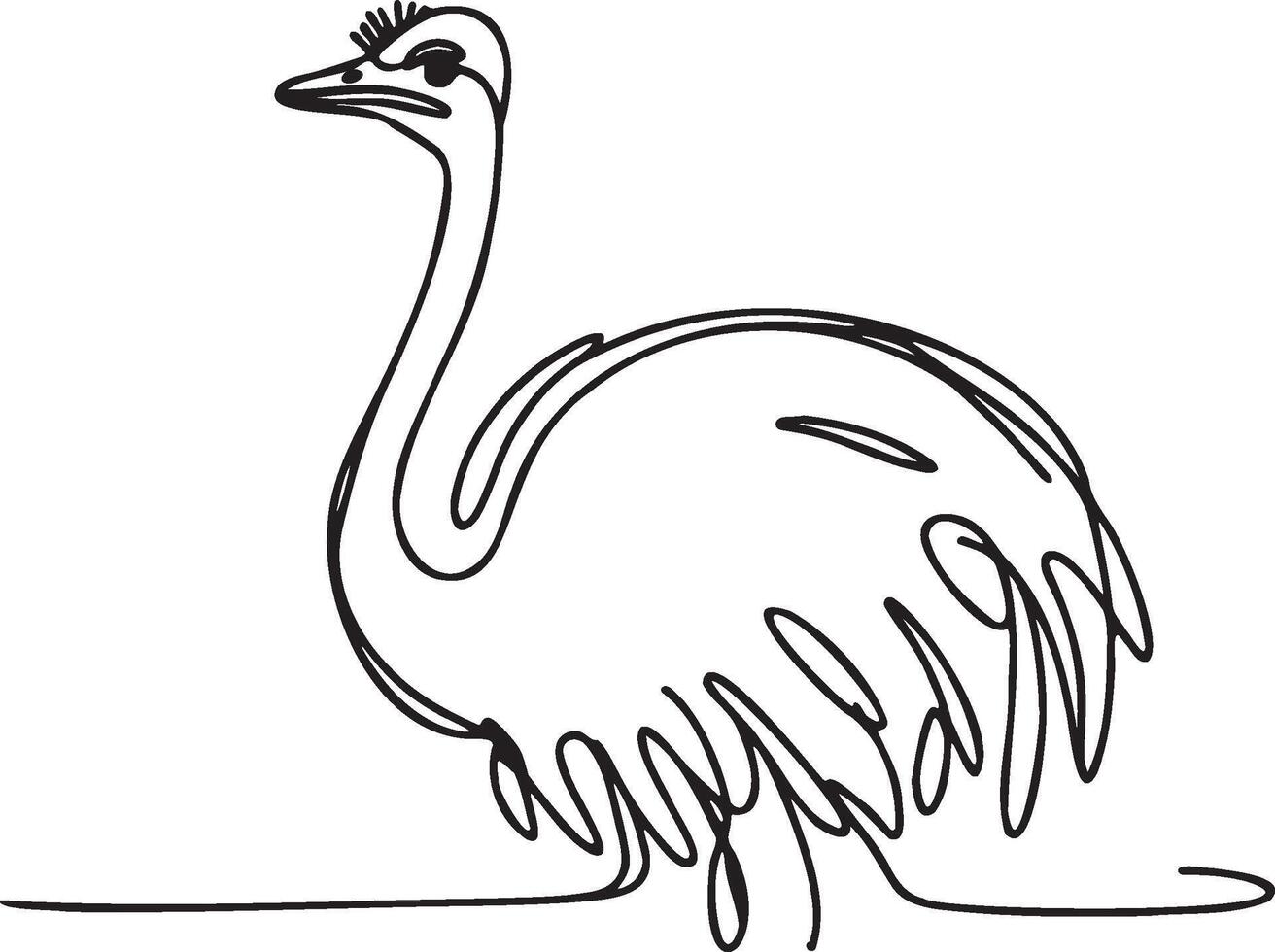 Ostrich Line Art. vector