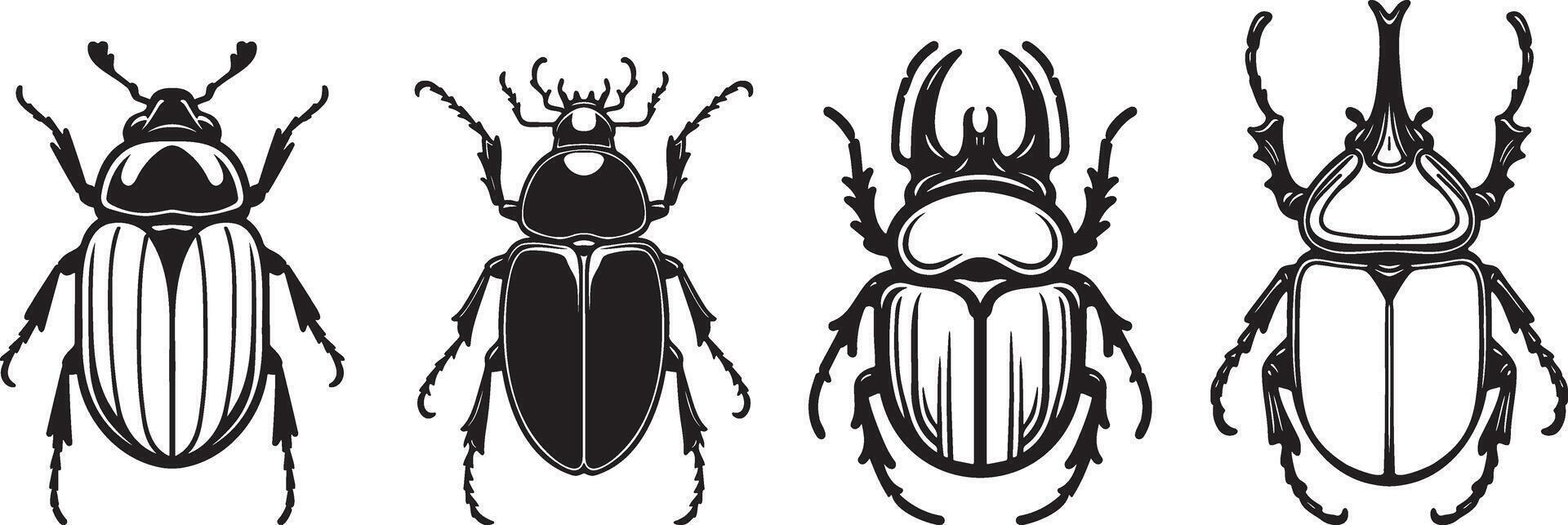Beetle Sketch Illustration Collection. vector