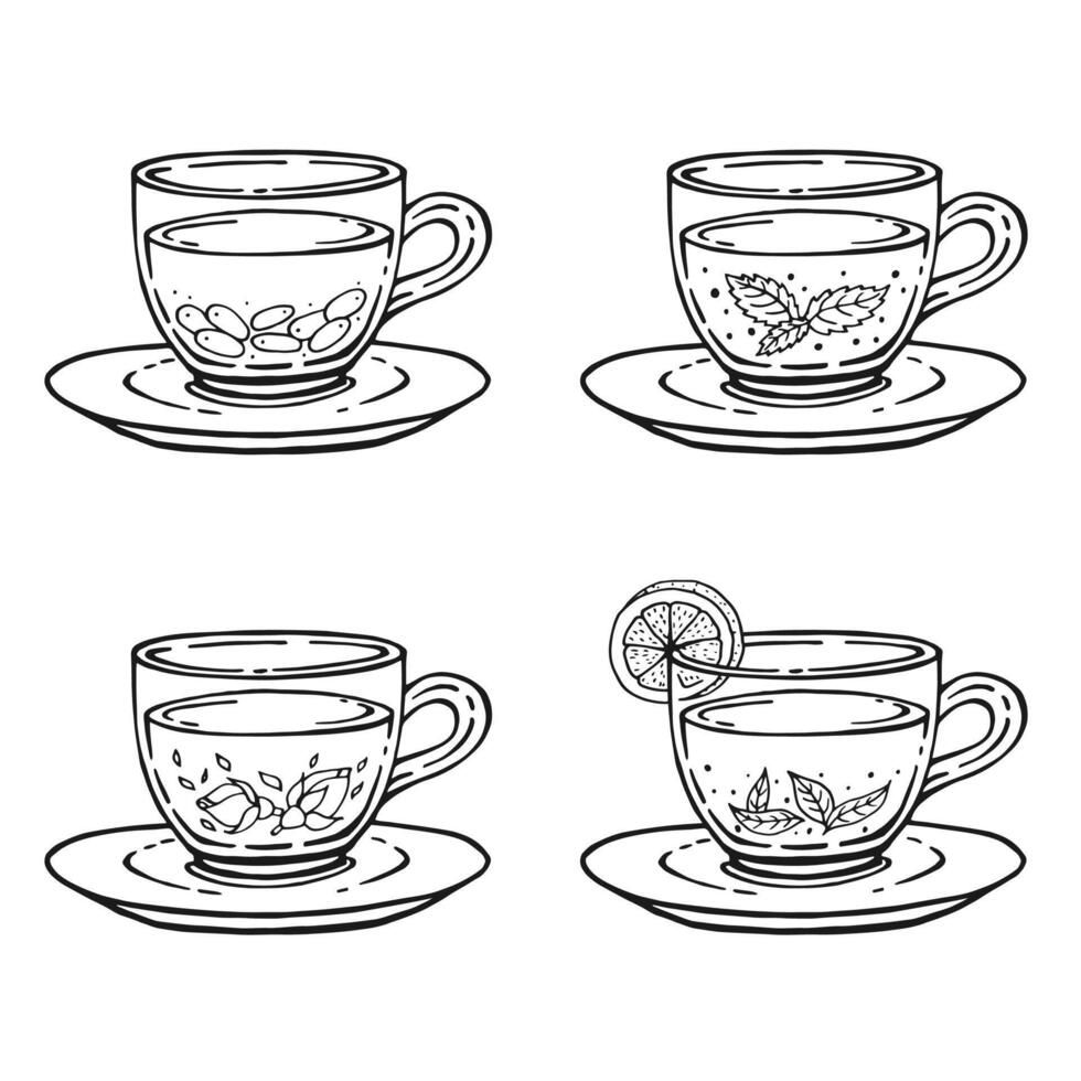 Set glass mugs of tea and saucer. Medicinal tea. Hand drawn illustration. vector
