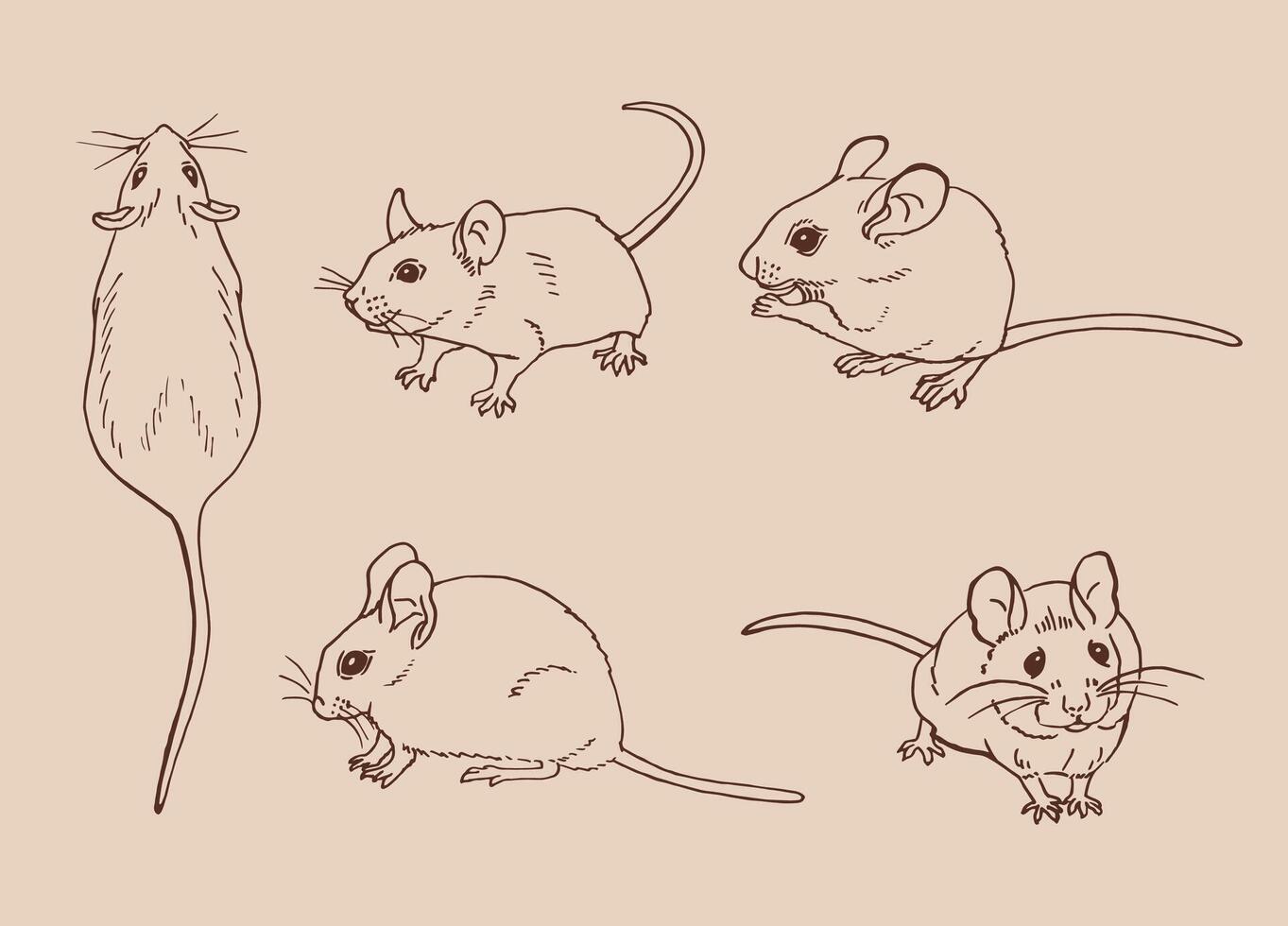 Set of mouse. Hand drawn illustration ink style. vector