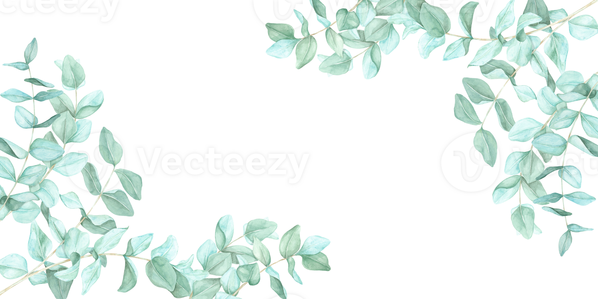 Watercolor eucalyptus branches in muted green tones decorate the corners of this botanical clipart frame. Great for printable stationery, website headers, packaging , and nature-themed invitations png