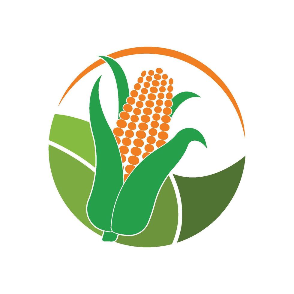 Corn icon illustration flat design vector
