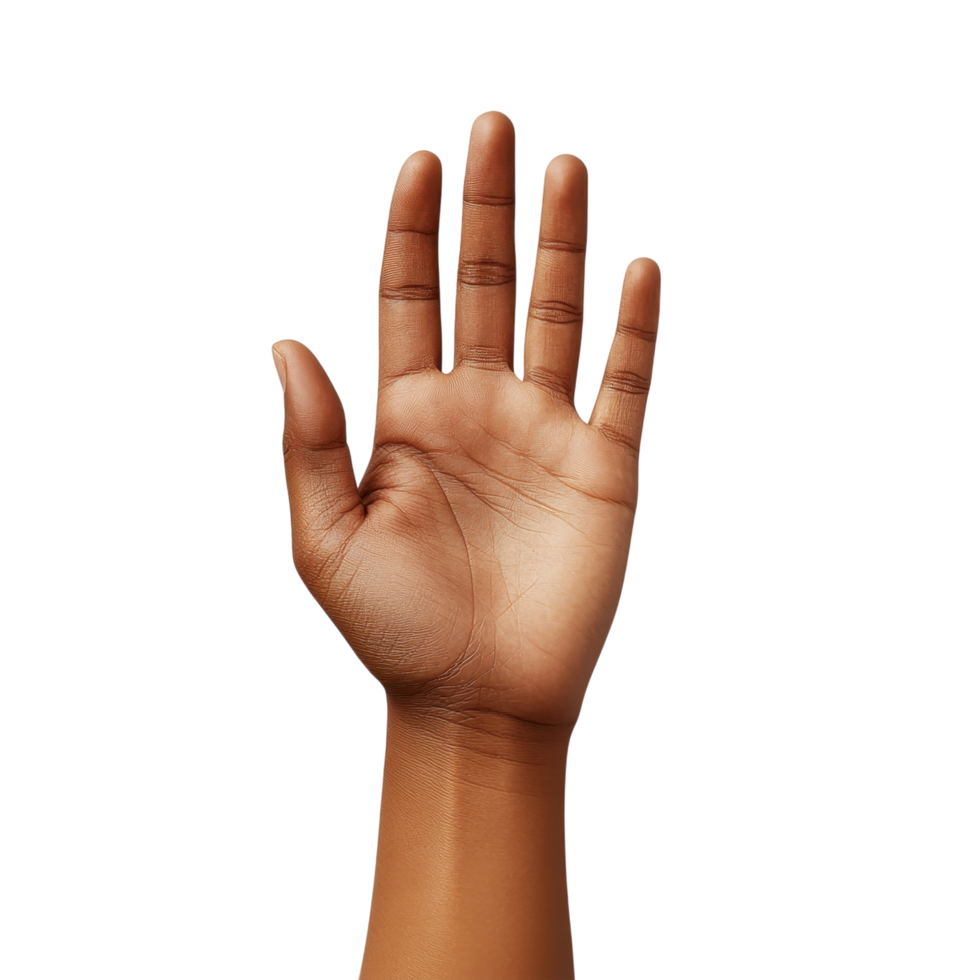 Open Palm Hand Gesture with Realistic Shadows and Skin Texture. Isolated on a Transparent Background png