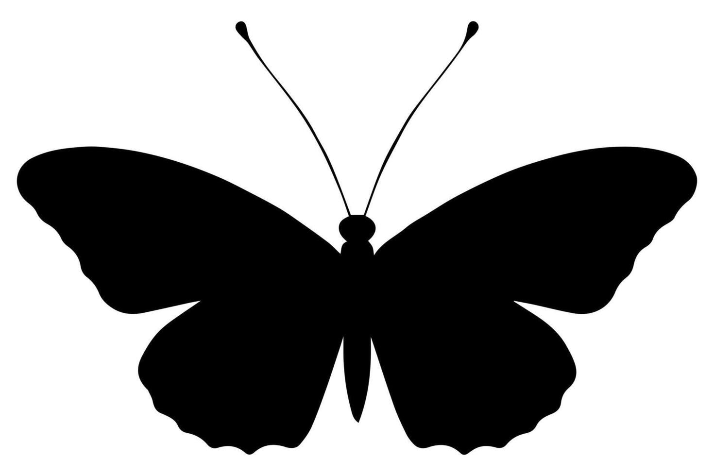 Butterfly drawing outline minimalist icon vector