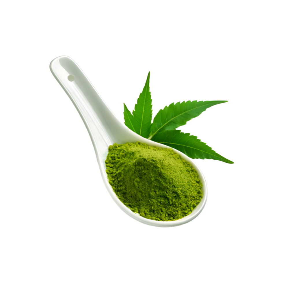White spoon of neem leaf powder with fresh neem leaf on transparent background png
