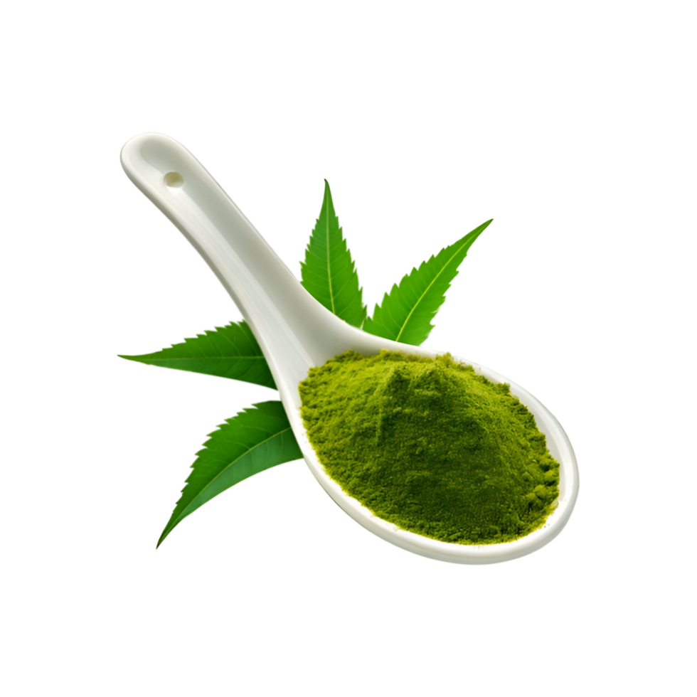 Spoon of neem leaf powder with fresh neem leaf on transparent background png