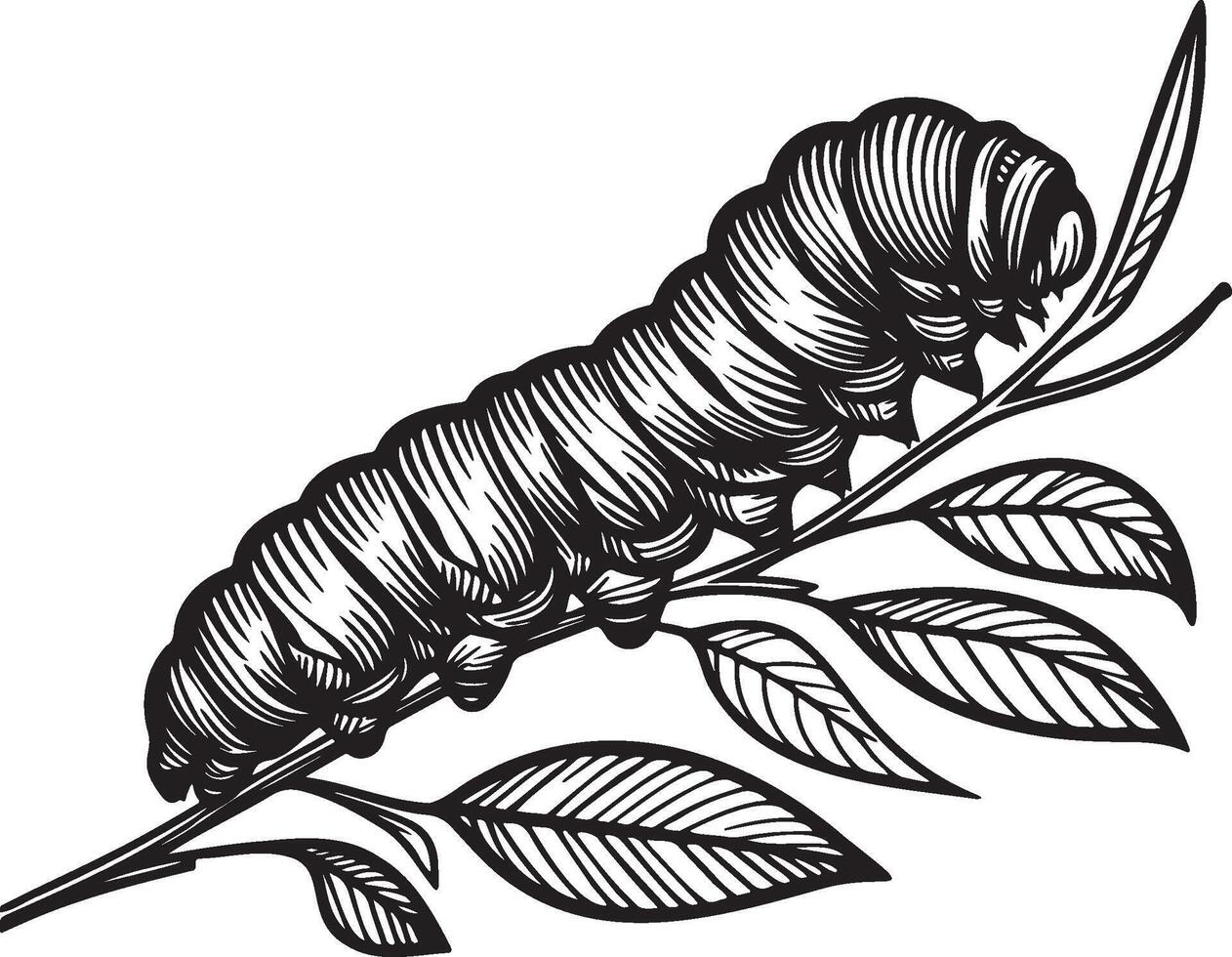 Caterpillar on Leaves Illustration. vector