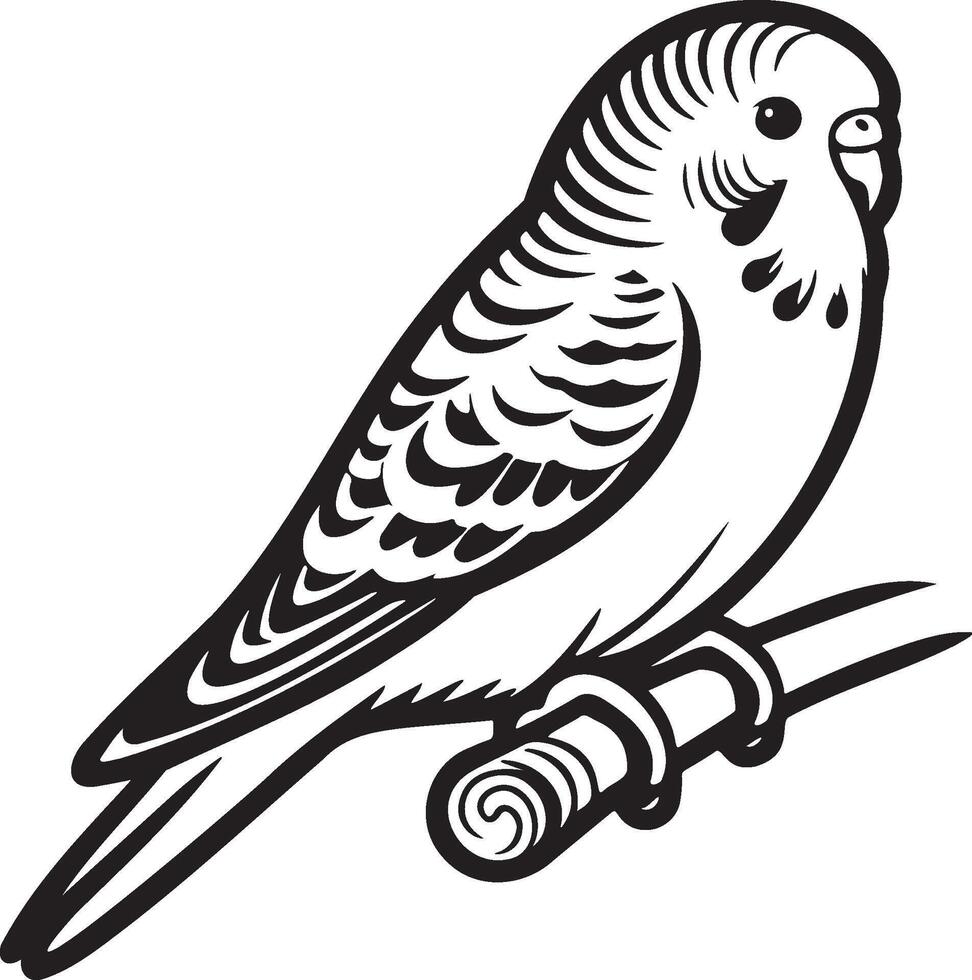 Budgie Pet Illustration. vector