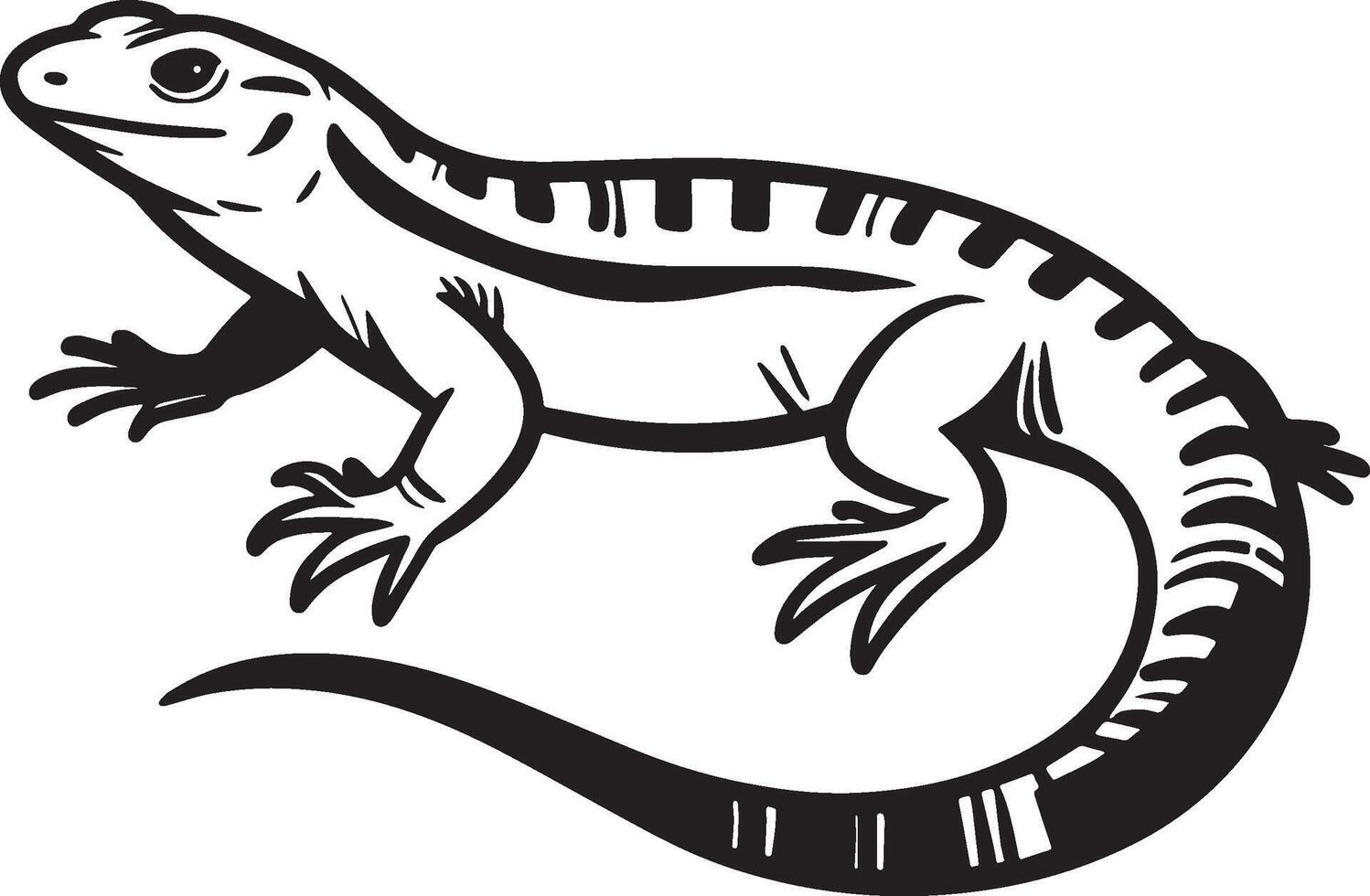 A Lizard Sketch Drawing. vector
