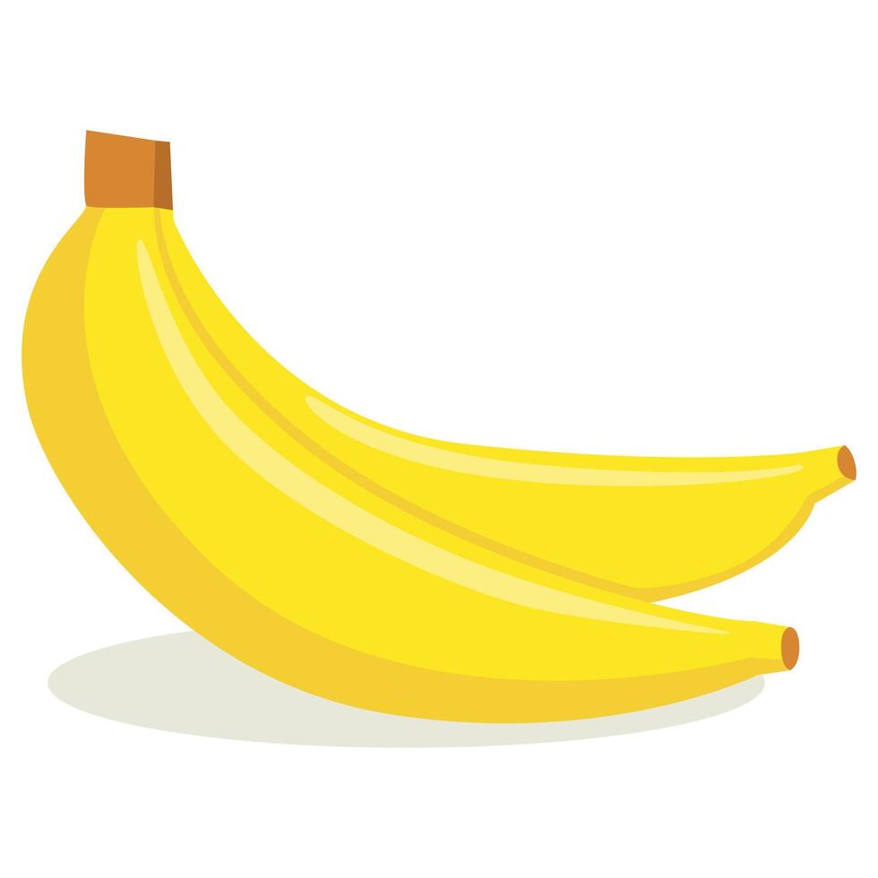Illustration of Two Yellow Bananas vector