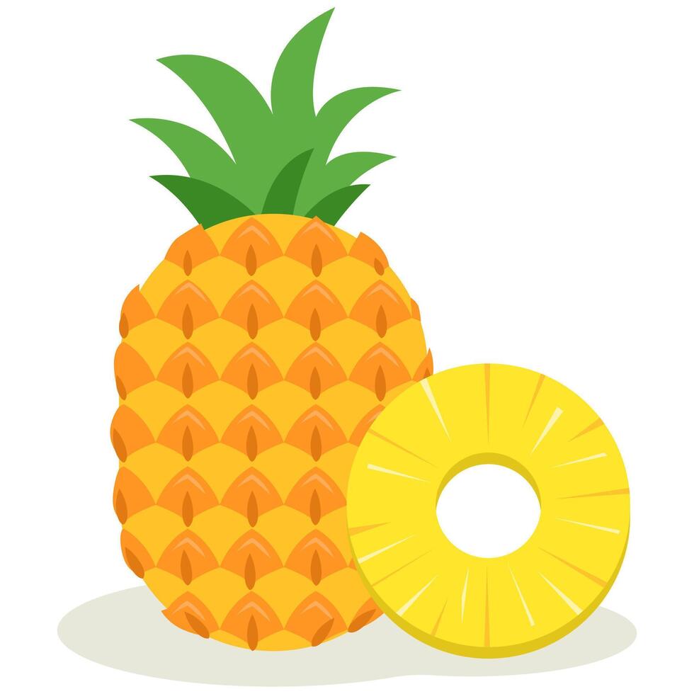 Pineapple and Slice A Delicious and Healthy Tropical Fruit vector