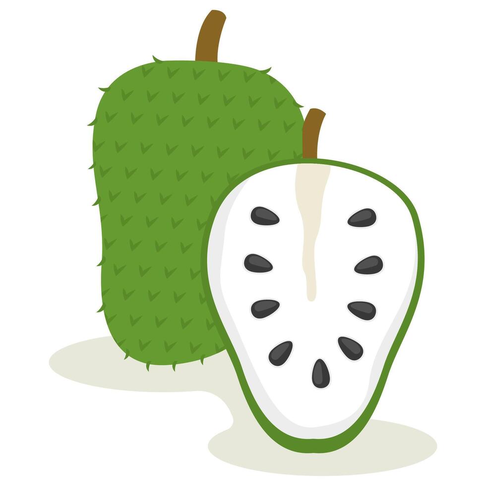 Whole and a halved soursop fruit. vector