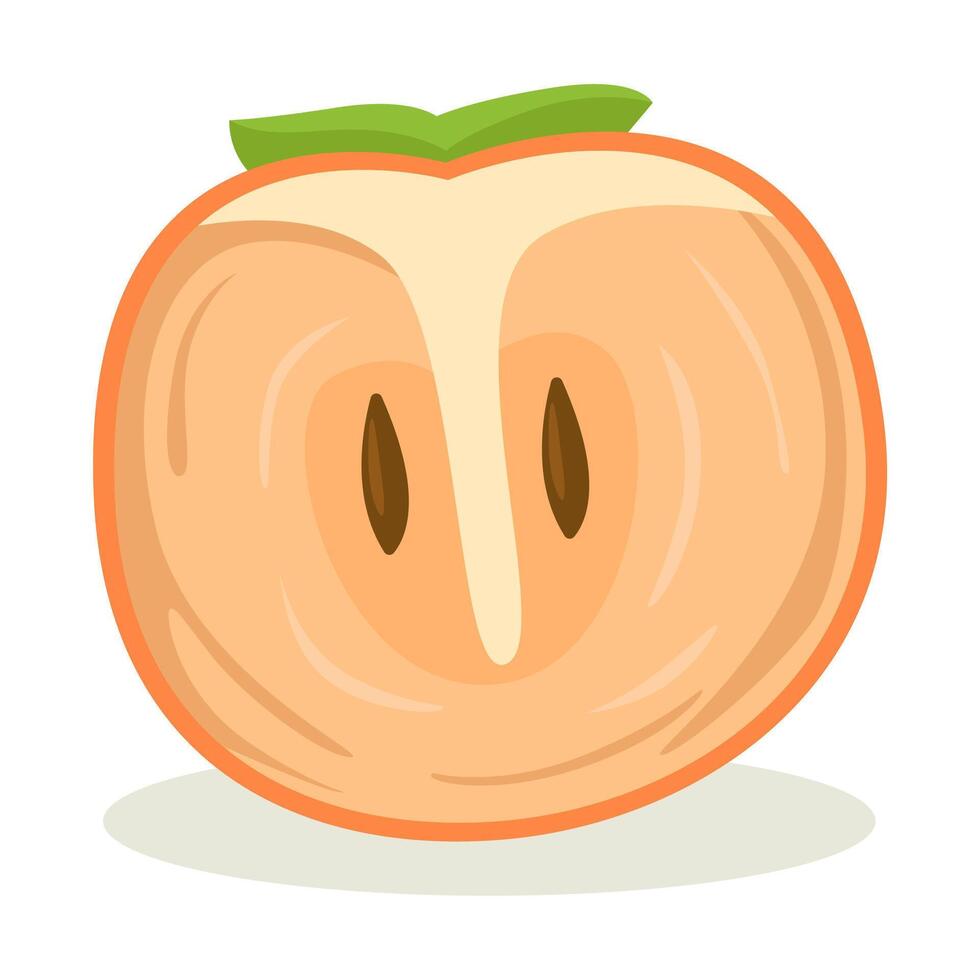 Half cut persimmon fruit buah kesemek from Indonesia vector