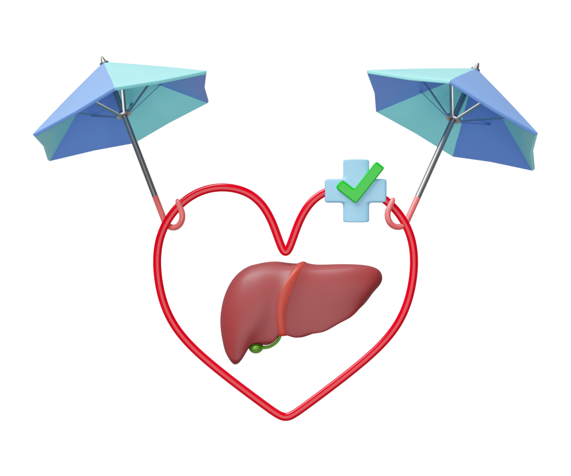 3d umbrella protecting liver with heart, cross, check mark isolated. check liver health, health love, world hepatitis day concept, 3d illustration render png