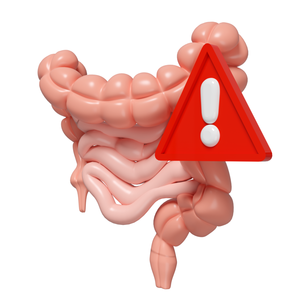3d Intestines with exclamation mark isolated. danger warning concept, 3d illustration render png