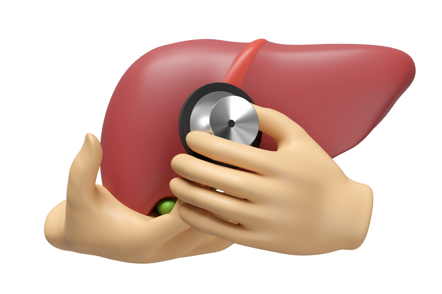 3d realistic liver with doctor holding a stethoscope isolated. check liver health, health love, world hepatitis day concept, 3d illustration render png