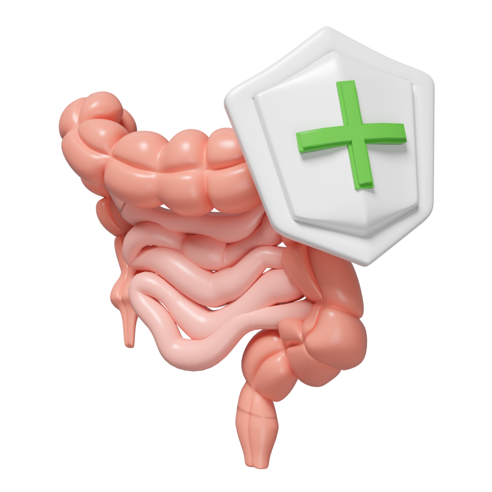 3d healthy intestine with shield isolated. check intestine health concept, 3d illustration render png