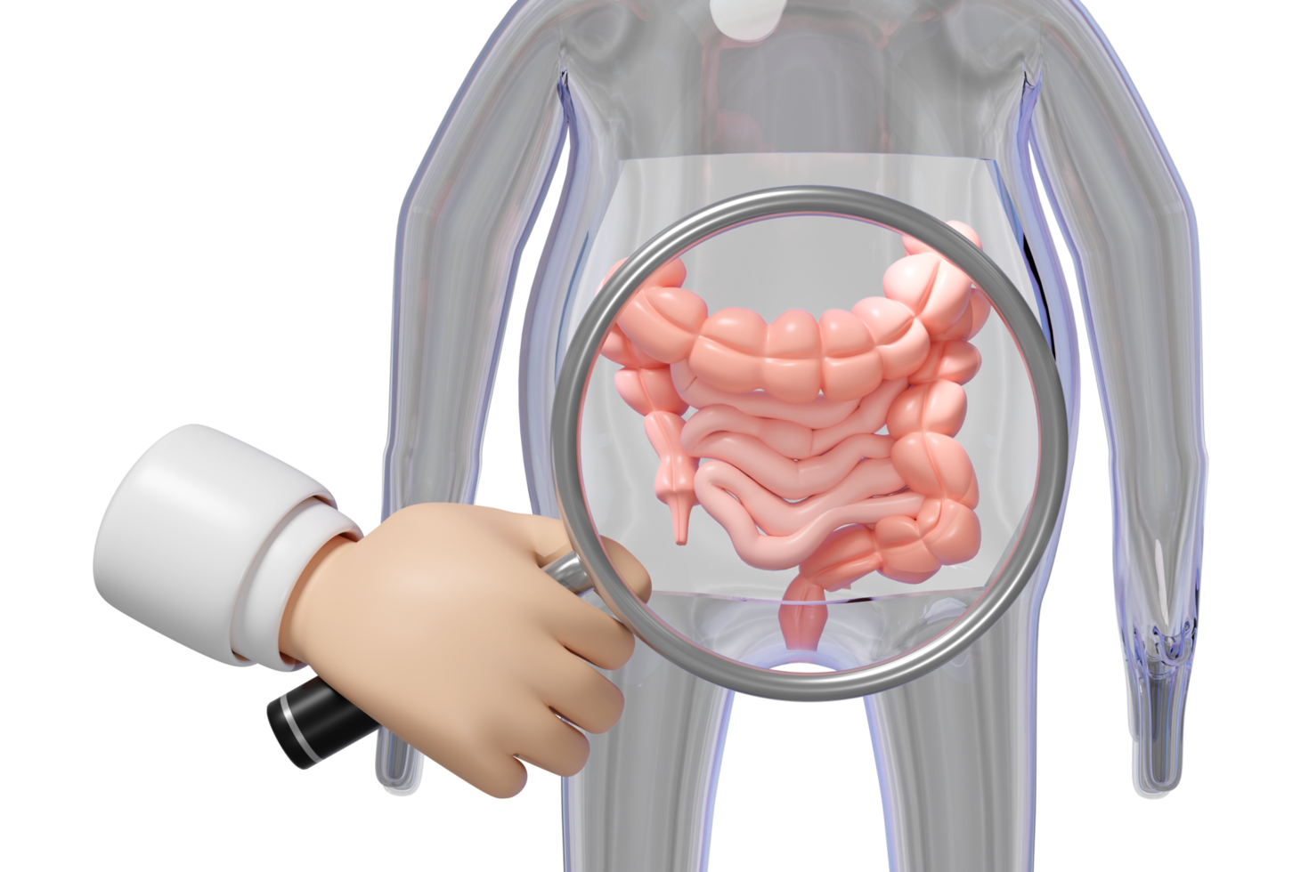 3d human colon with doctor hand holding magnifying glas isolated. check digestive, intestine health concept, 3d illustration render png