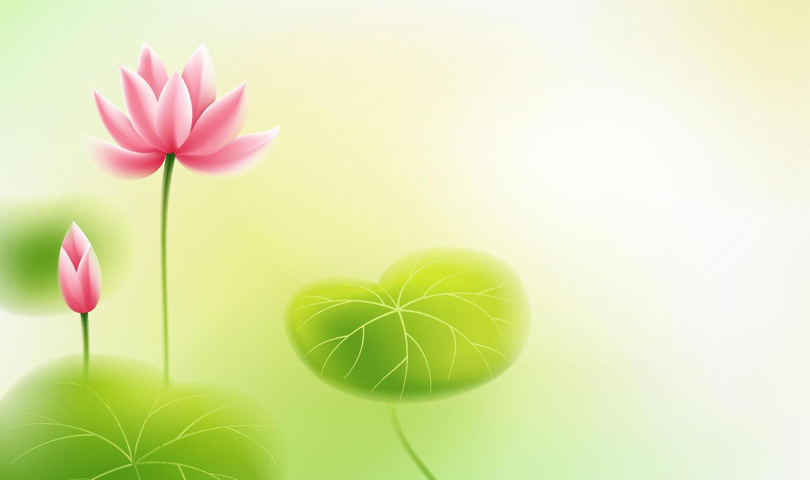 Chinese style horizontal illustration turquoise lovely lotus vector
