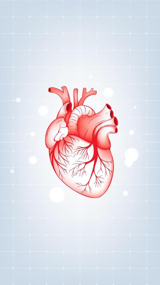 Medical health vertical illustration red heart electrocardiogram vector