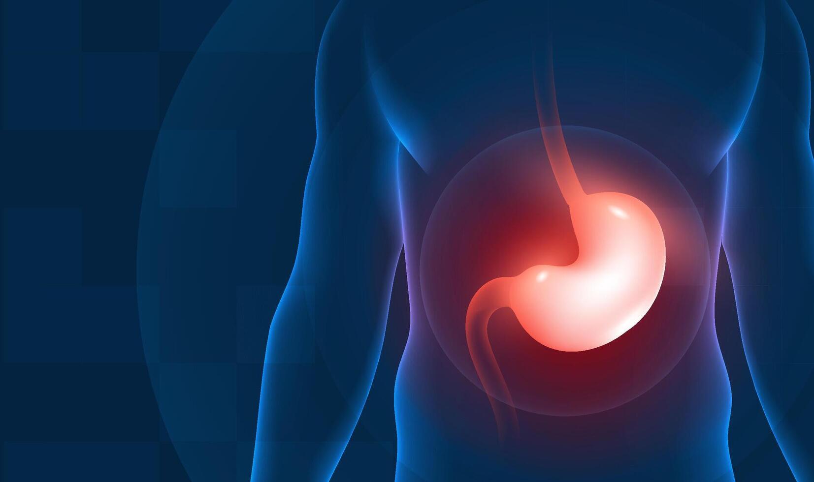 Medical health horizontal illustration human stomach highlighting reminder vector