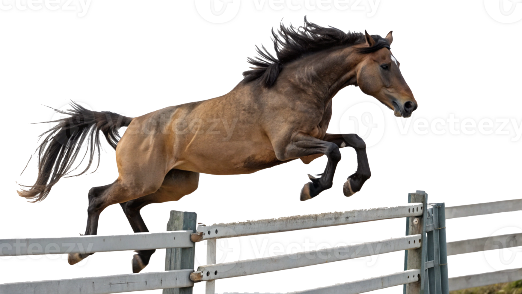 A horse jumping over a fence png