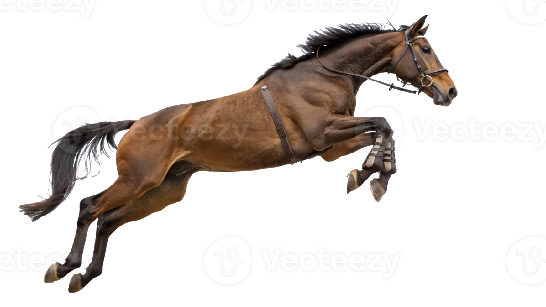 A horse is jumping in the air png