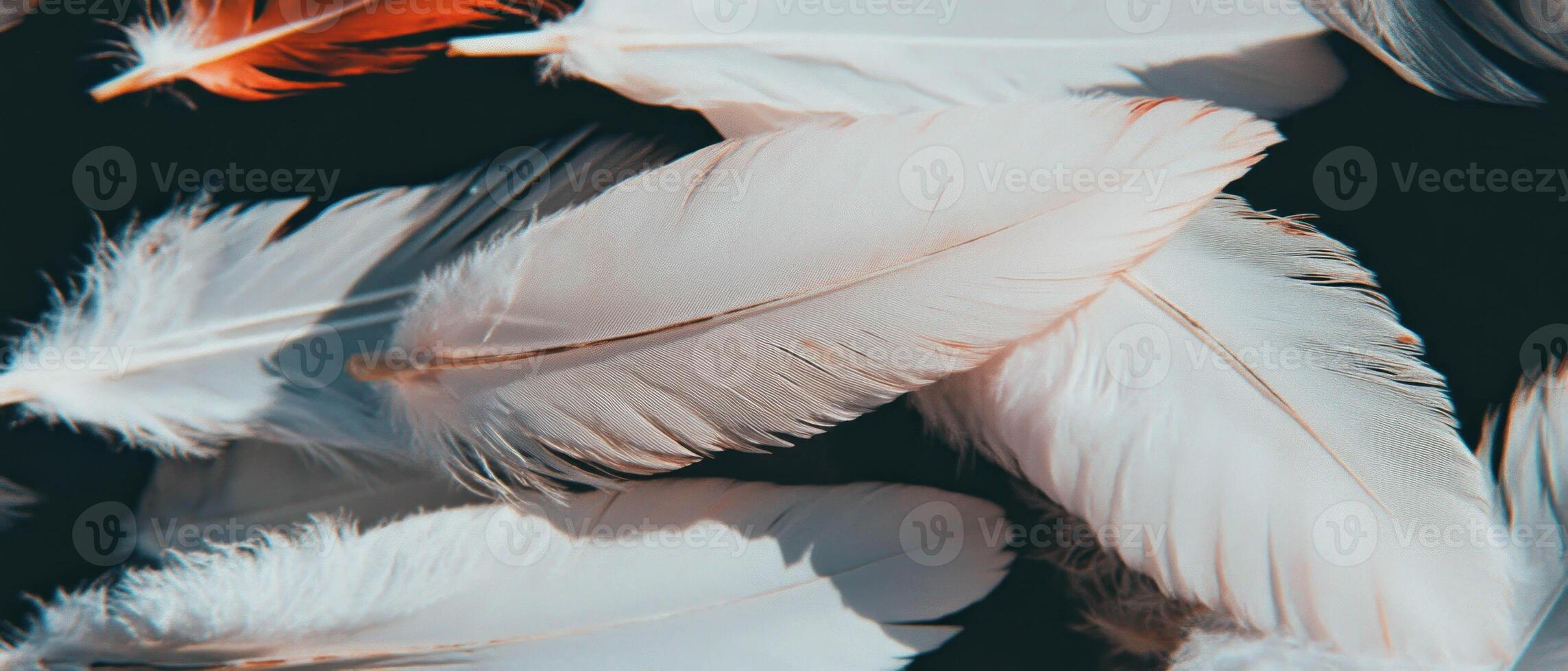Delicate feather patterns creating a soft and elegant overlay texture design photo