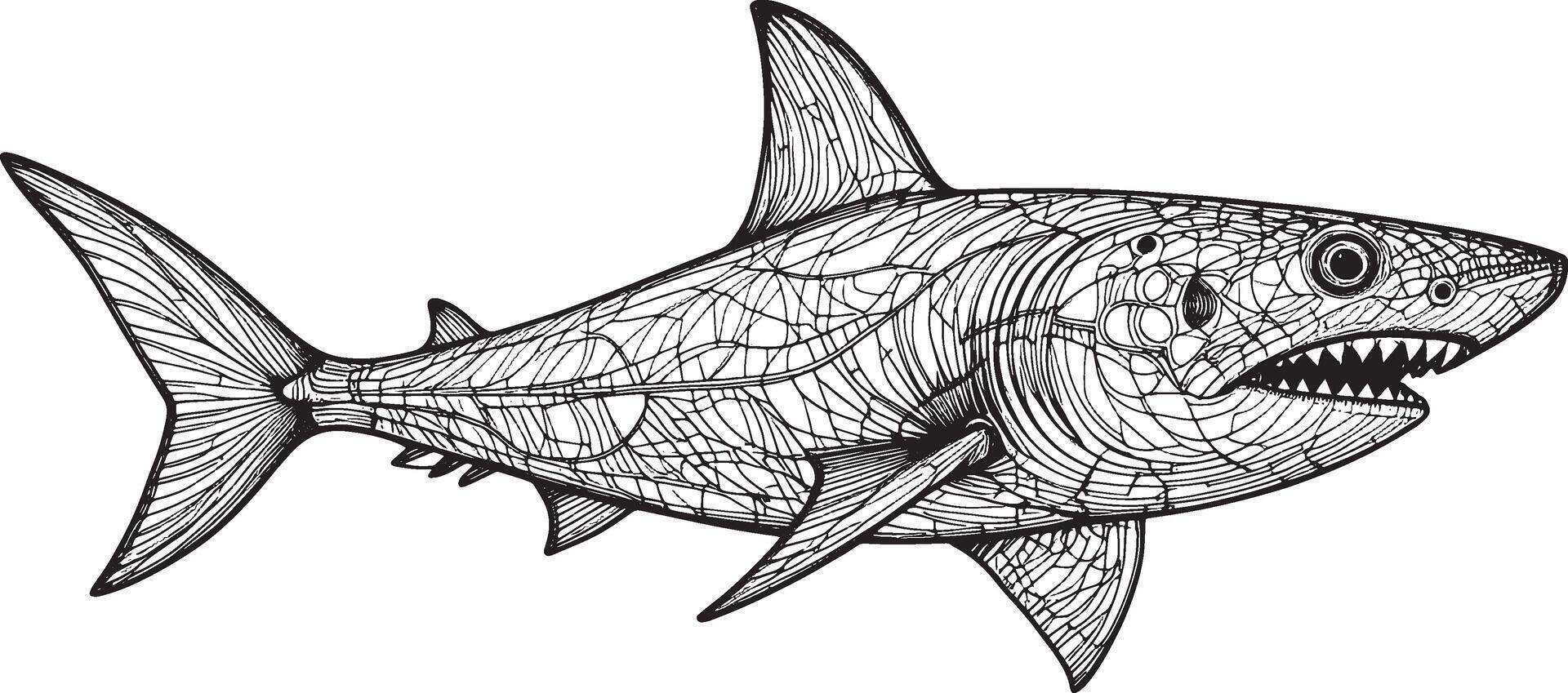 shark fish line art Silhouette stock photos vector