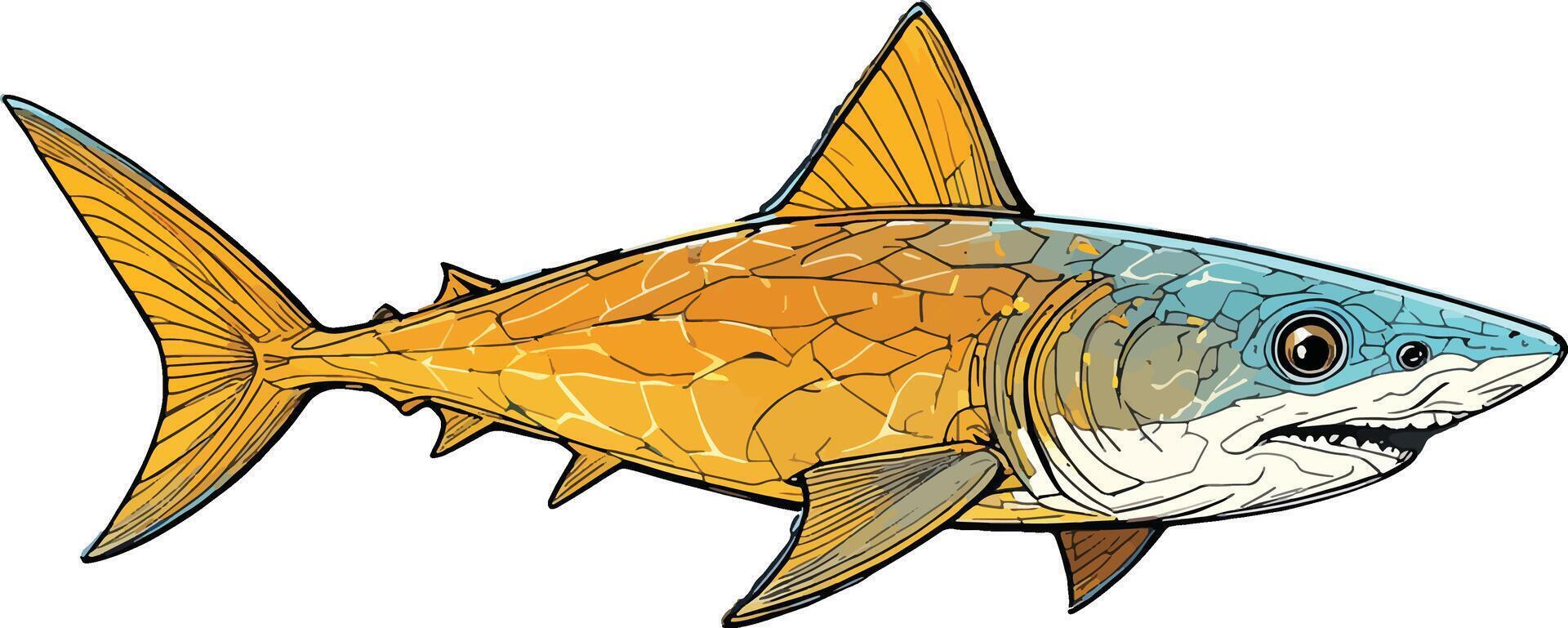 shark fish line art illustration stock photos vector