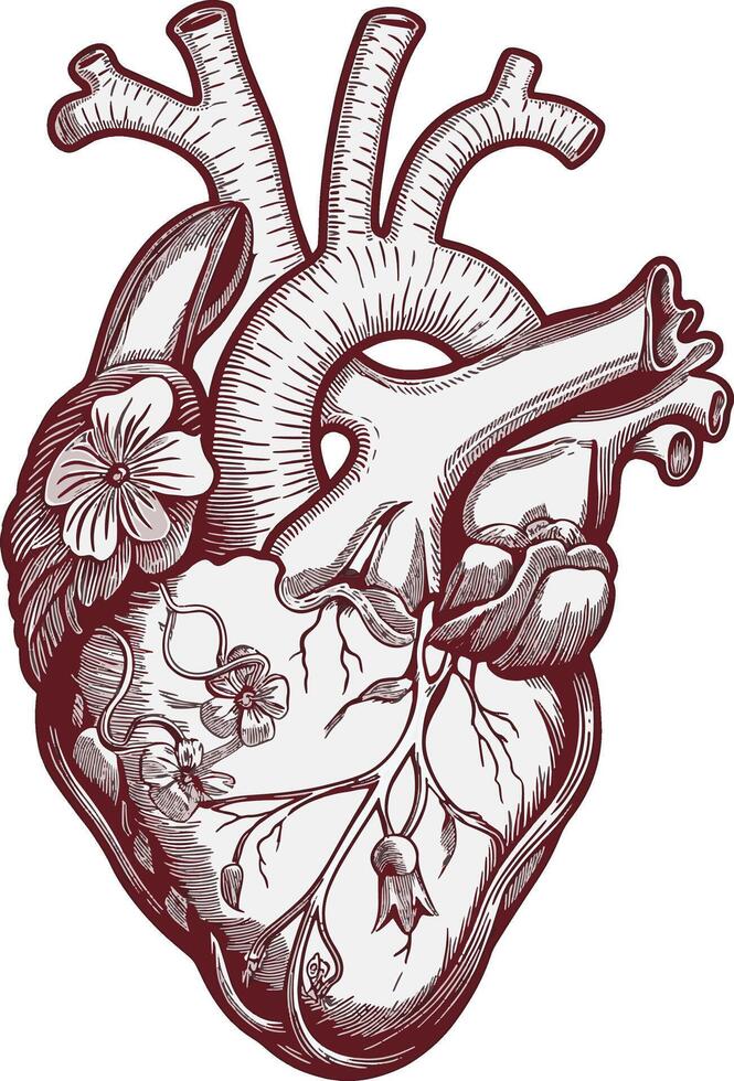 heart art design illustration stock photos vector