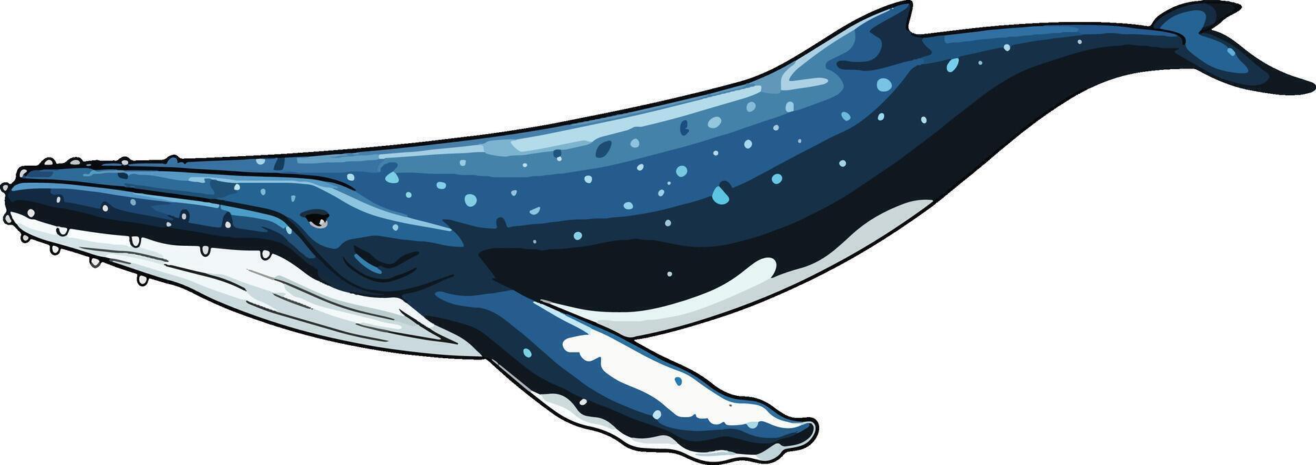blue whale illustration stock photos vector