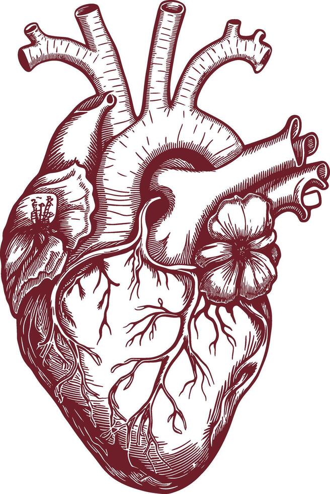 heart art design stock photos vector