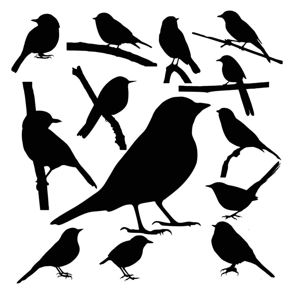 Small Birds Silhouettes Collection vector