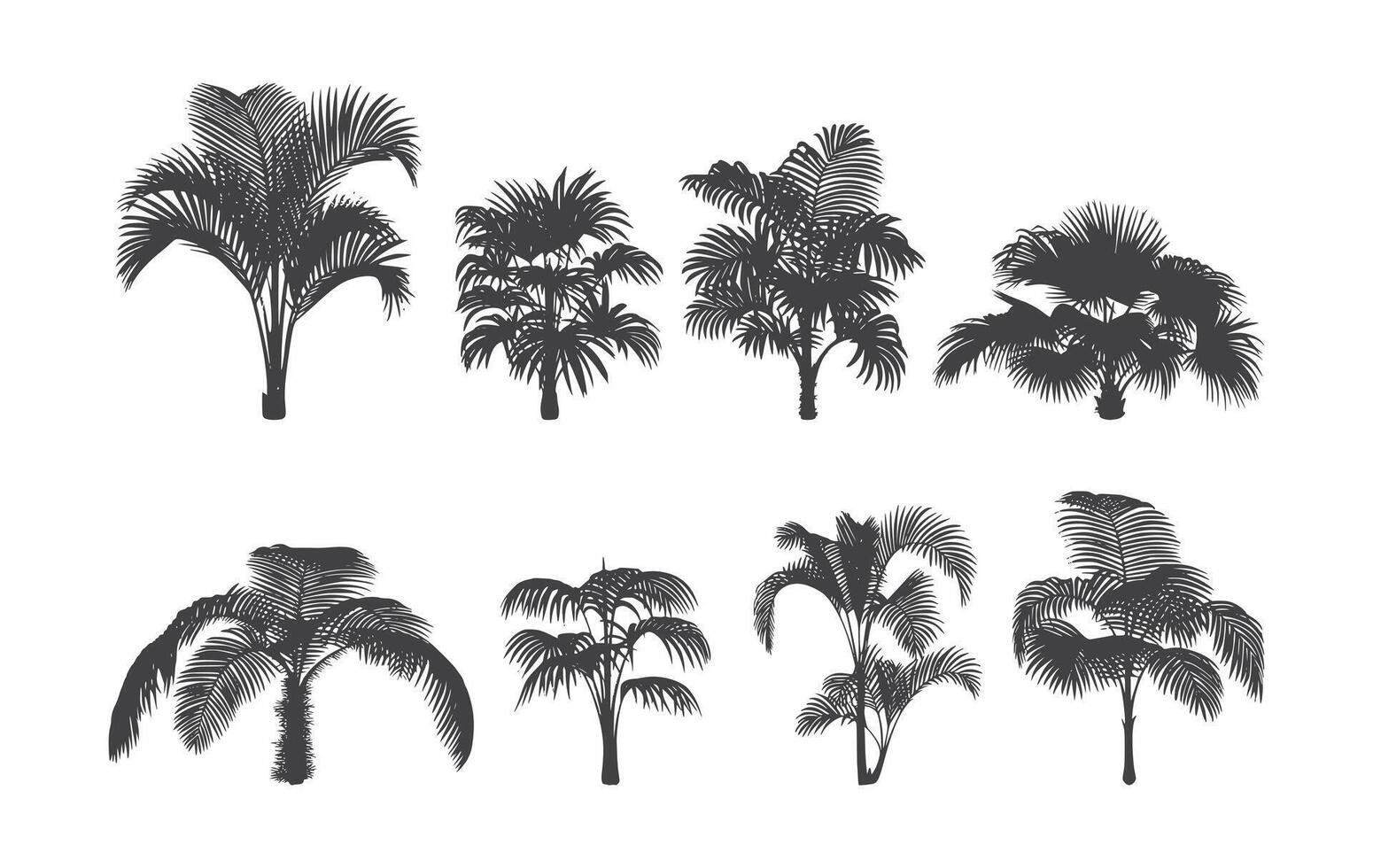Tropical palm tree silhouettes perfect for summer design and decoration vector