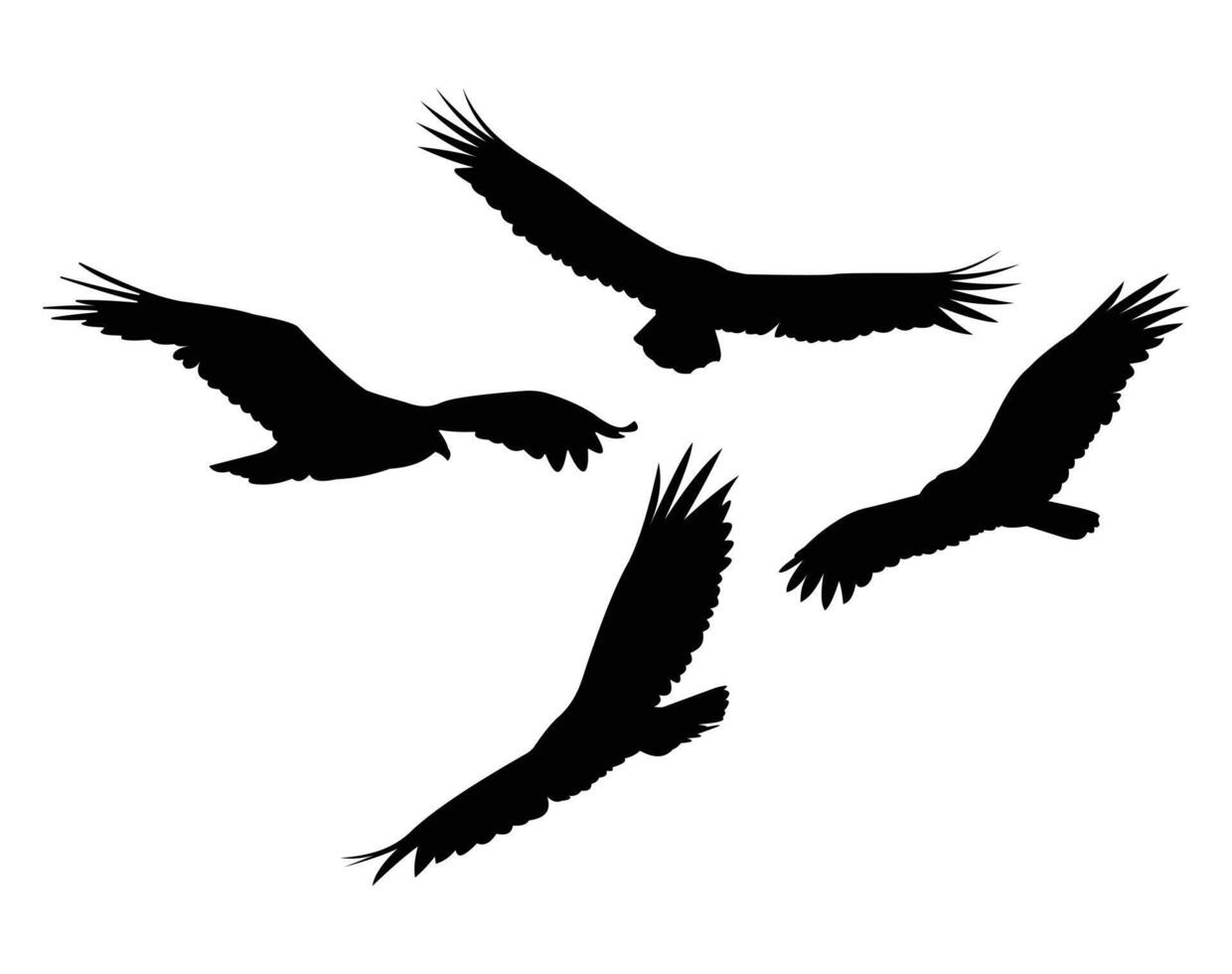 Silhouette vulture soaring in sky vector