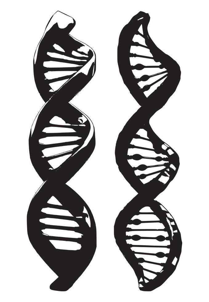 Black DNA Helix Art vector