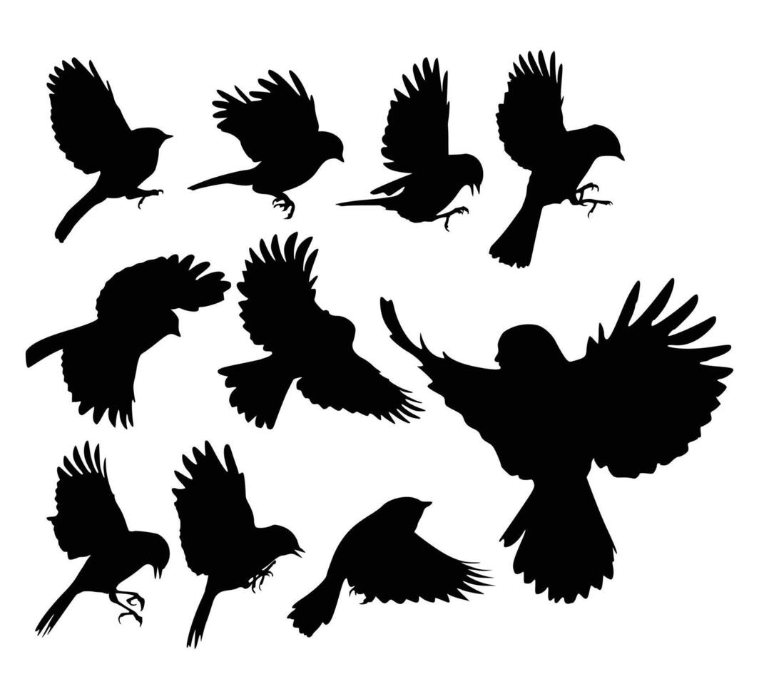 Small bird flying silhouette in design vector