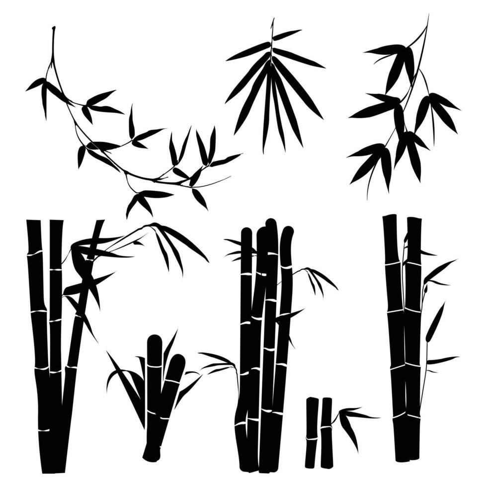 Bamboo leaf and wood illustration in style vector