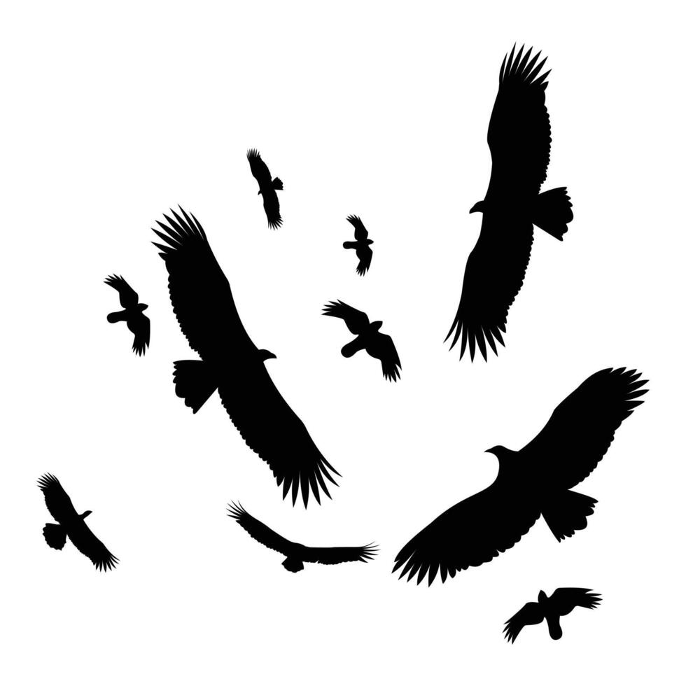 Round silhouette of vulture flying in sky vector