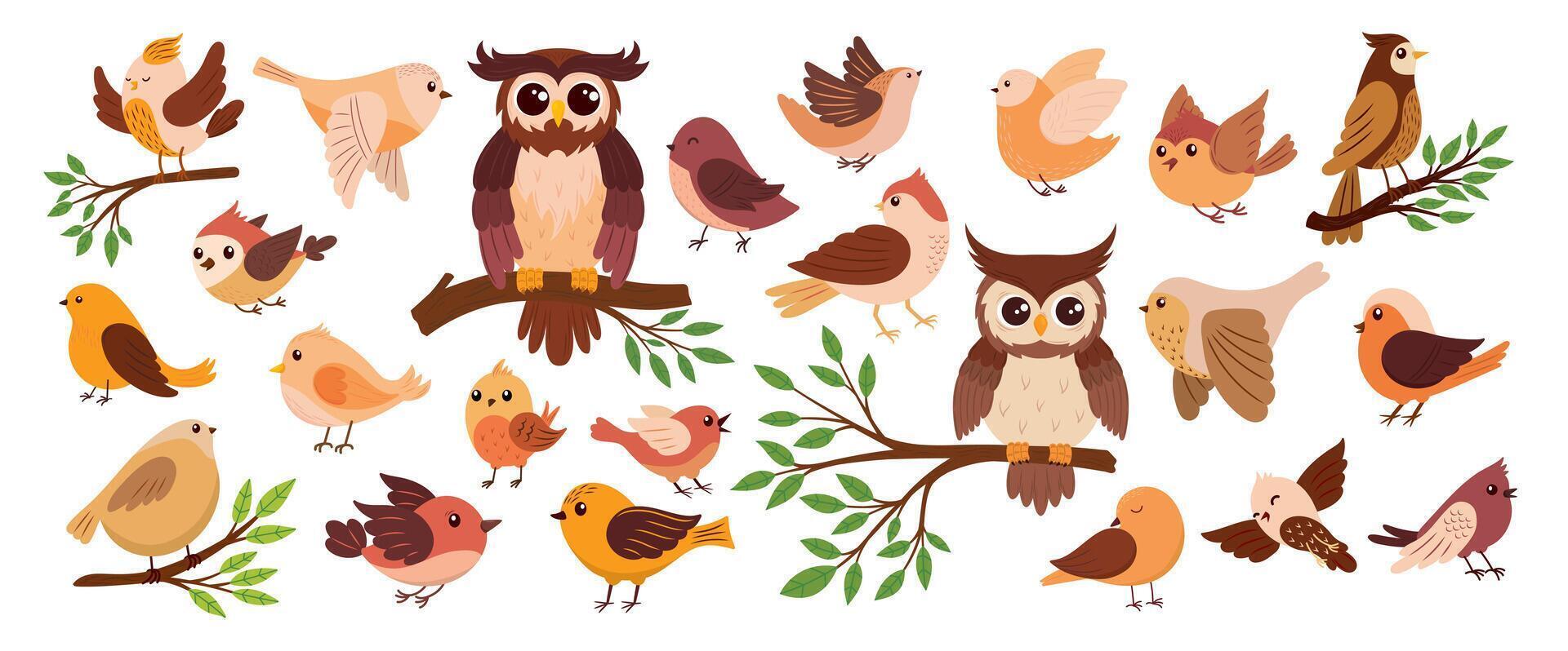Set of cute birds of different colors vector