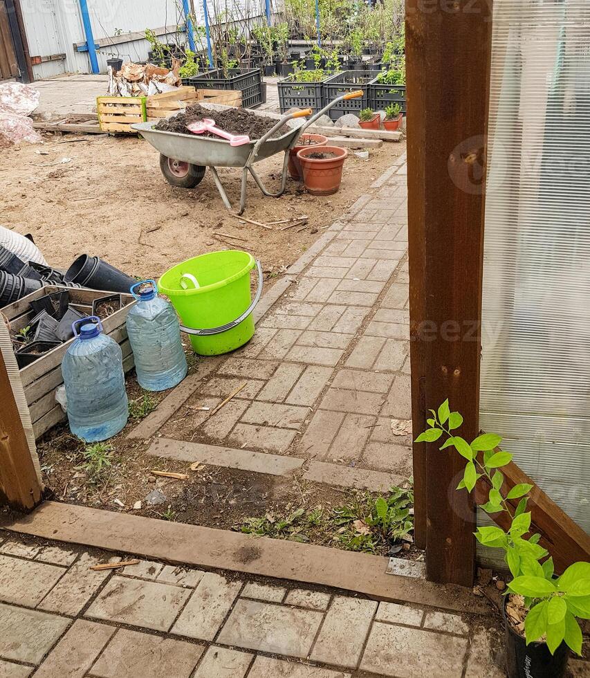 Farmyard with wheelbarrow and fruit tree seedlings in the background, real shot photo