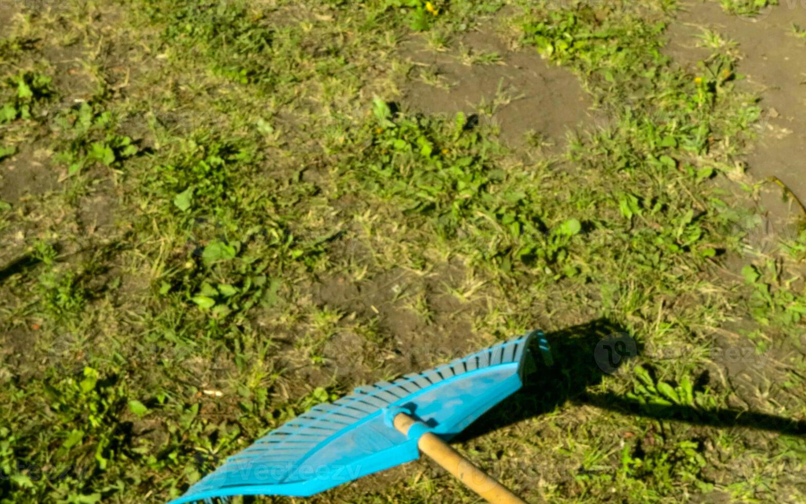 close-up work in the garden rake on the lawn with grass with spring sunny day photo