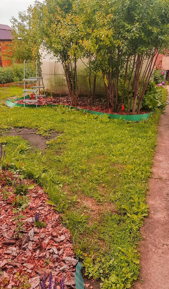 Vertical view of a country garden with lawn and sawdust to protect and drain the flower bed photo
