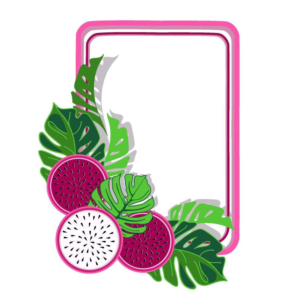 Tropical frame with dragon fruit slices and monstera leaves vector
