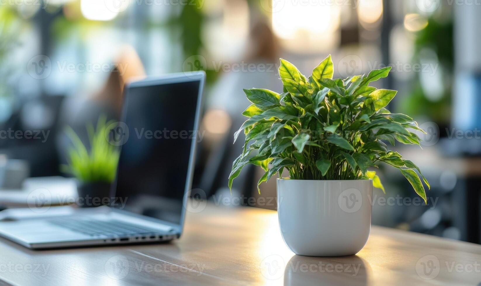 Empty computer screen in a modern office, featuring blurred colleagues working in the background and plants potted vibrant photo
