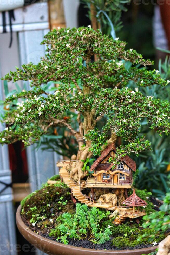 Miniature Bonsai Treehouse A Whimsical, Lush Green Scene photo