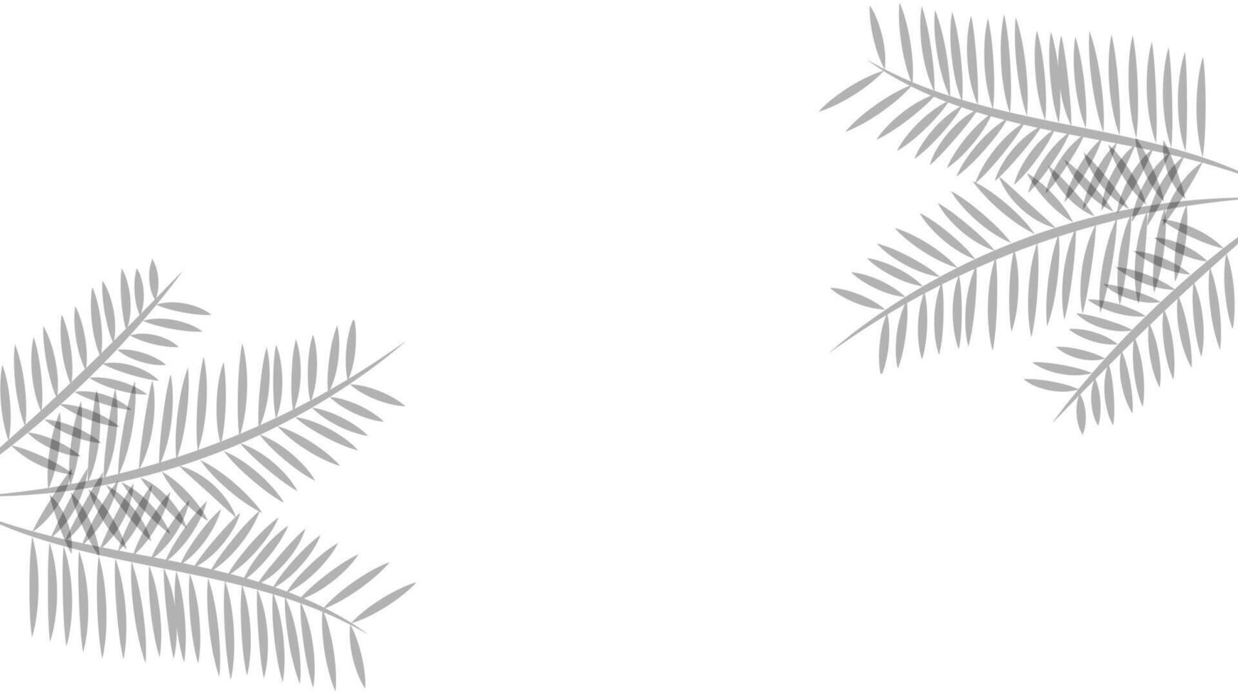 Blank white background with shadow of palm leaves. Suitable for wallpaper, product, presentation, etc. vector