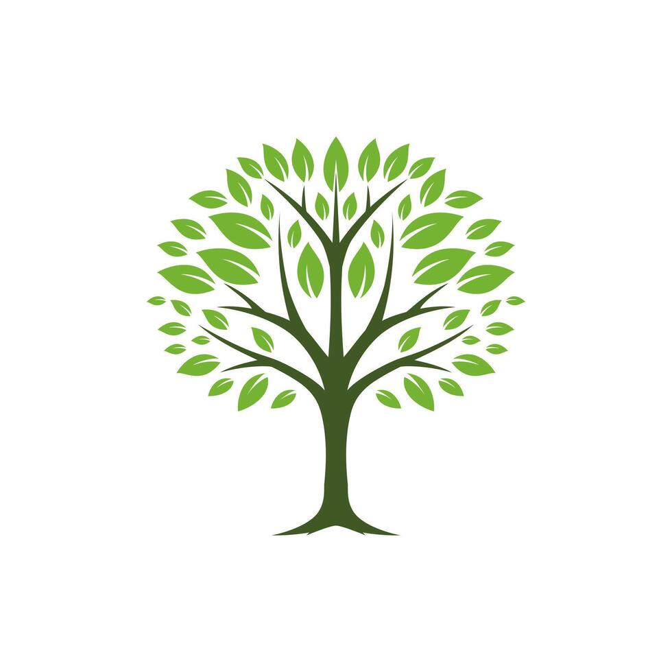 Green Tree with Lush Leaves vector
