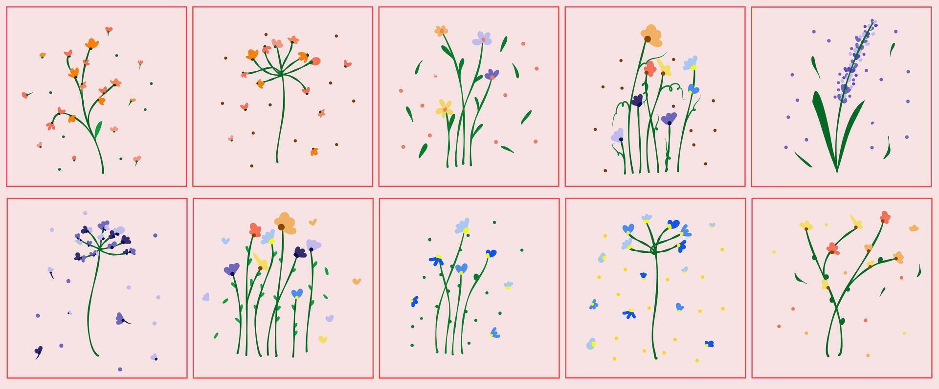 Various types of wild flower illustration vector